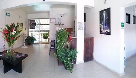 Hotel D' Santiago Palenque Zewnętrze zdjęcie